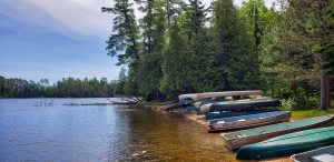 received_411307406128881